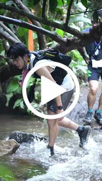 BIB:  <button type="button" onclick="openModal(27809037)" class="btn btn-primary btn-sm float-right" data-toggle="modal" data-target=".modal-high-quality">
                <i class="fa fa-download"></i> Download
                </button>